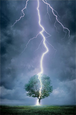 iPhone Wallpapers