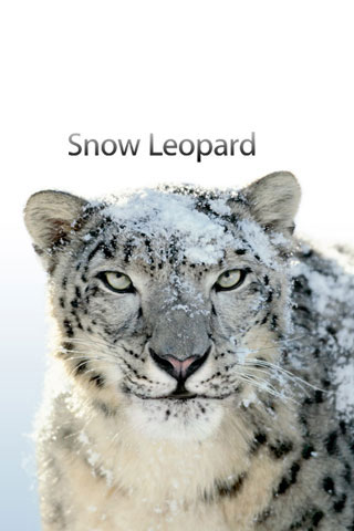 iPhone Wallpapers