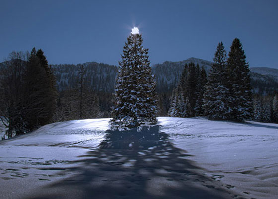 25+ Great Examples of Christmas Photography