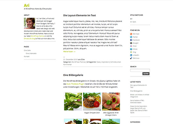 Ari WordPress Theme