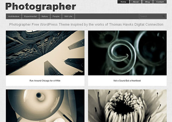 Photographer Theme