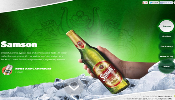 Beverage Website designs
